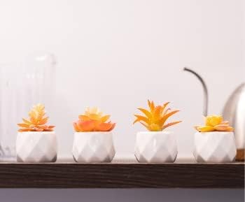 VIVERIE Mini Orange Artificial Succulent in Pots (White Ceramic, 4 Pot Set) Fake Plants for Indoors, Office Home Halloween/Christmas Decor Gifts-Faux Plant Gifts for Women