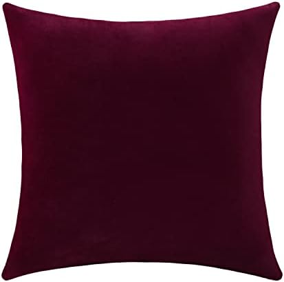 Jeneoo Set of 1 Comfy Accent Soft Velvet Throw Pillow Covers for Sofa Couch, Invisible Zipper Decorative Solid Square Cushion Cases for Livingroom Car (24 x 24 Inches, Burgundy Red)