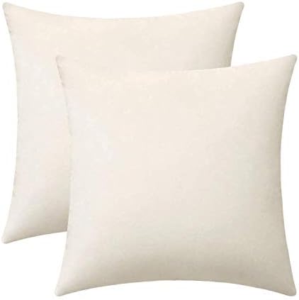 Jeneoo Comfy Soft Velvet Throw Pillow Covers for Sofa Couch, Decorative Solid Square Cushion Cases for Bedroom Car (Off White, 18 x 18 Inches, 2 Pieces