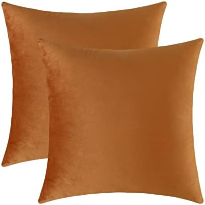 Jeneoo Set of 2 Comfy Soft Thick Velvet Throw Pillow Covers for Sofa Couch, Decorative Solid Square Cushion Cases for Living Room Car (20 x 20 Inches, Terracotta)
