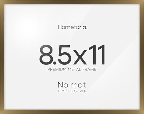 Homeforia 8.5x11 Bronze Diploma Frame, High-End Metal, Glass