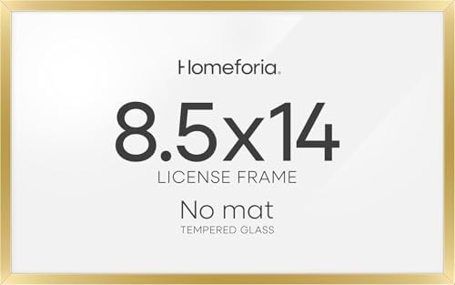 Homeforia 8.5x14 Gold Marriage License Frame, High-End Metal, Glass