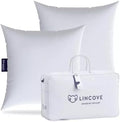 Lincove Euro Throw Pillow Insert Square 20"x20" Pillow – Made in Canada, 100% Cotton Shell, Down Alternative Filling, Vegan-Friendly, Hypoallergenic - Decorative Couch Pillows, 2 Pack