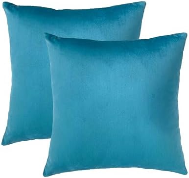 RELY+ Pack of 2 Throw Pillow Covers 20x20 Inch Velvet Soft Cozy Solid Decoration Gifts Pillow Covers Luxury Cushion Case for Sofa Couch Bedroom Living Room (Turquise, 20 x 20)