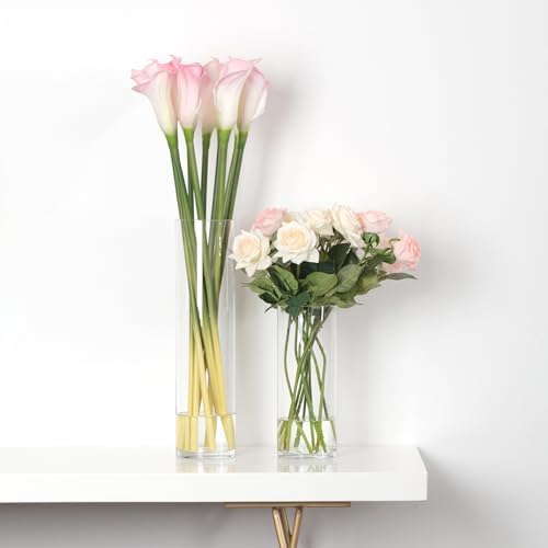 WGVI Quality Thick Weighted Tall Clear Cylinder Glass Vases, 4" W x 16" H, Flower Arrangement Floating Candle Holders Wedding Centerpieces Event Floral Container Accent Home Decor, 1 Piece