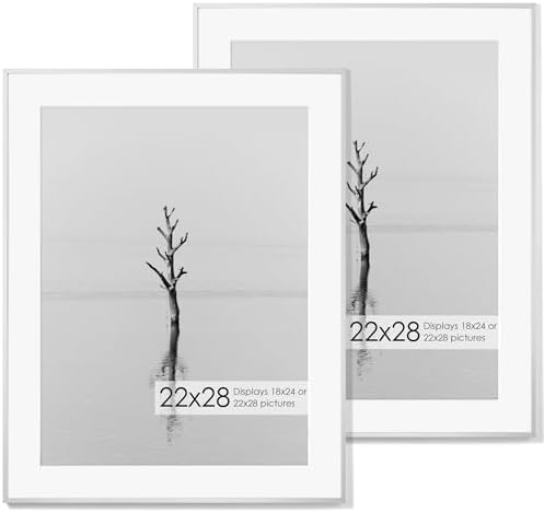 22x28 Metal Picture Frame with 18x24 Mat, Brushed Aluminum Finish, Tempered Glass Front, and Attached Hanging Hardware - Versatile Wall Display Frames for Vertical or Horizontal Orientation(Silver,