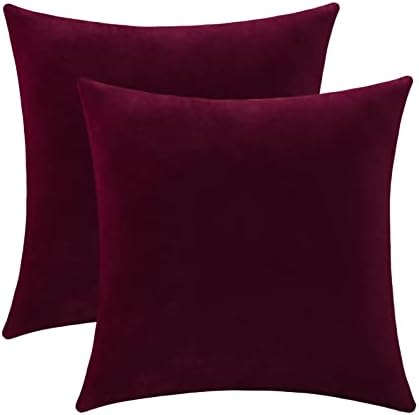 Jeneoo Set of 2 Comfy Soft Thick Velvet Throw Pillow Covers for Sofa Couch Decorative Solid Square Cushion Cases for Bedroom Car (16 x 16 Inches, Burgundy Red)