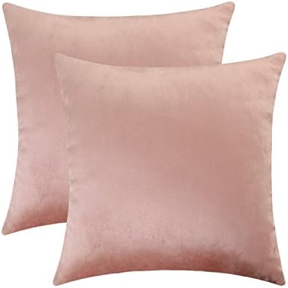 Jeneoo Set of 2 Comfy Soft Velvet Throw Pillow Covers for Sofa Couch Invisible Zipper Decorative Solid Square Cushion Cases for Bedroom Car (16 x 16 Inches, Blush Rose)