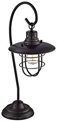 Lite Source LS-21456D/BRZ Lanterna Ii Table Lamp, 10" x 9" x 23"