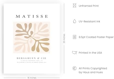 HAUS AND HUES Henri Matisse Wall Art Exhibition Poster - Paper Cutouts, Abstract Art, Prints Posters Aesthetic Modern Colorful Cutout Flower (Unframed 16x20), 16x20 Unframed