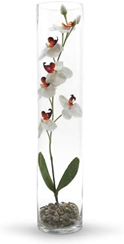 WGV Cylinder Vase, Diameter 5", Height 24", Clear Glass Floral Planter Container, Tall Centerpiece Arrangement for Wedding Party Event Home Office Decor, 1 Piece