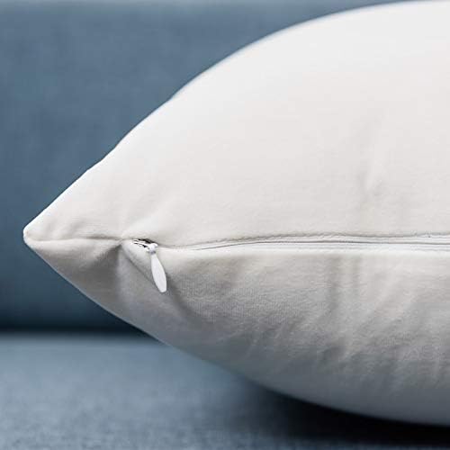 JUSPURBET Decorative Velvet Throw Pillow Covers 18x18 Set of 2,Cream White