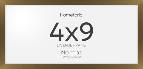 Homeforia 4x9 Bronze Business License Frame, High-End Metal, Glass