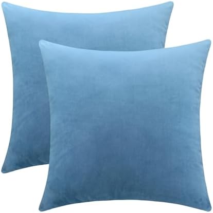 Jeneoo Set of 2 Decorative Throw Pillow Covers Soft Velvet Comfy Solid Couch Cushion Cases for Livingroom Bed Sofa Decor (Sky Blue, 18 x 18 Inches)