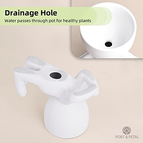 Port&Petal Small Succulent Pots with Drainage (Set of 3) - Ceramic Planters for Live Plants, Air Plants or Fake Plants Decor - Cute Planters for Indoor Decor - Small Pots for Home Office Décor - White
