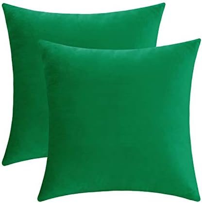 Jeneoo Set of 2 Comfy Soft Velvet Christmas Throw Pillow Cases for Sofa Couch, Decorative Solid Square Cushion Covers for Bedroom Car (18 x 18 Inches, Bright Green)
