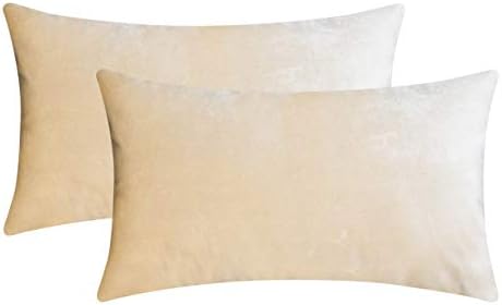 Home Brilliant Rectangle Pillow Cover Cream Throw Pillows for Couch Velvet Decorative Pillow Covers for Living Room Sofa Bed, Set of 2, 12 x 20 Inch (30x50cm), Beige