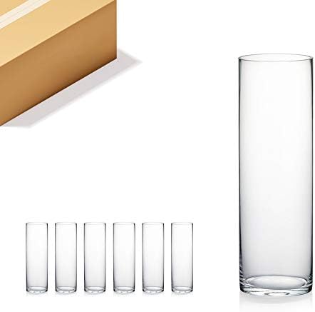 WGV Cylinder Vase Bulk, Diameter 5", Height 16", Clear Glass Floral Planter Container, Tall Centerpiece Arrangement for Wedding Party Event Home Office Decor, 6 Pieces