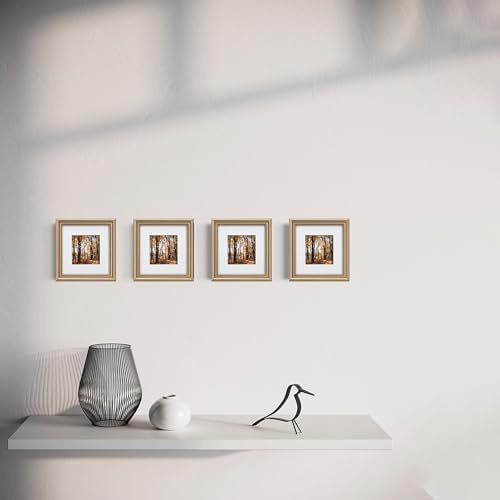 8x8 in Wood Classic Gallery Picture Frame, Ornate Beaded Inner, Matted for 5x5 Photo, Tabletop or Wall Mount Display, Champagne Brass