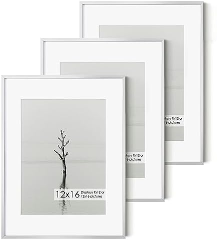 Fun Memories 12x16 Metal Picture Frame -12x16 Aluminum with Shatter-Resistant Glass - Displays 9x12 Photos Mat or Images without Ideal for Home Office Decor(Silver, Pack of 3)