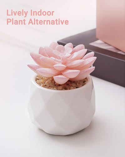 VIVERIE Mini Succulents Plants Artificial in Pots-Rose Pink, Christmas Small Fake Succulents Plants for Home Decor Indoor for Women, White Ceramic Faux Succulents, Set of 1, Gifts for Mom