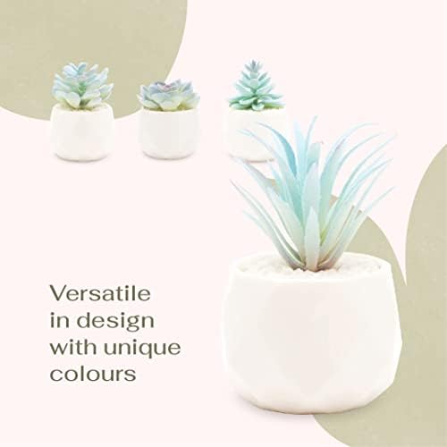 VIVERIE Mini Blue Artificial Succulent in Pots (White Ceramic, 4 Pot Set) Fake Plants for Indoors, Office Decor Gift for Women, Office Home Decor Gifts, Faux Plant for Shelf/Desk/Bathroom Decor