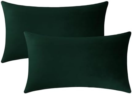 Jeneoo Set of 2 Decorative Throw Pillow Covers Soft Velvet Comfy Lumbar Couch Cushion Cover Decor (Army Green, 12 x 20 Inches)