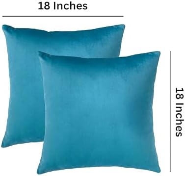 RELY+ Pack of 2 Throw Pillow Covers 18x18 Inch Velvet Soft Cozy Solid Decoration Gifts Pillow Covers Luxury Cushion Case for Sofa Couch Bedroom Living Room (Turquise, 18 X 18)