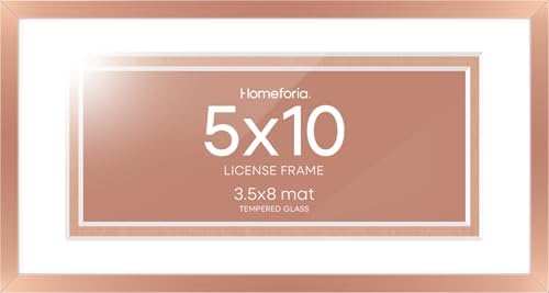 Homeforia 5x10 Rose License Frame, High-End Metal, 3.5x8 Mat, Glass
