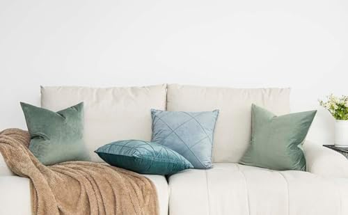 Eucalyptus Decorative Velvet Throw Pillow Covers 24x24 inch Set of 2 with Zipper Luxury Soft Solid Square Cushion Covers Case for Sofa Couch Bed Living Room