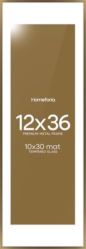 Homeforia 12x36 Bronze Picture Frame, High-End Metal, 10x30 Mat, Glass