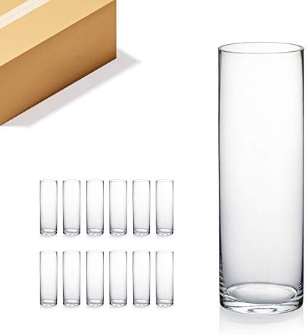 WGVI Quality Thick Weighted Clear Cylinder Glass Vases, 4" W x 12" H, Flower Arrangement Floating Candle Holders Wedding Centerpiece Terrarium Planter Floral Storage Container, Bulk Wholesale, 12 Pcs