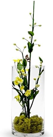 WGV Cylinder Vase Bulk, Diameter 5", Height 10", Clear Glass Floral Planter Container, Floating Candle Holder for Wedding Party Event Home Office Decor, 6 Pieces