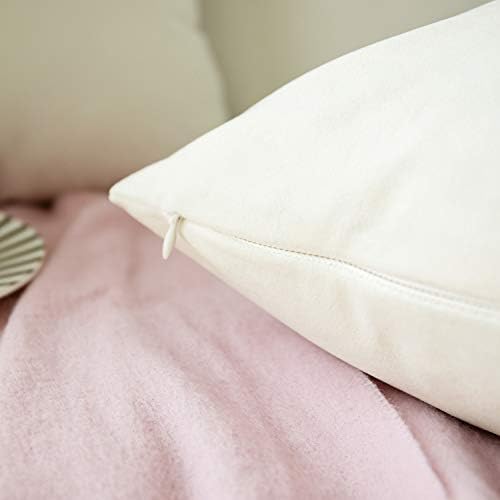 JUSPURBET 16x24 Lumbar Velvet Throw Pillow Covers Set of 2,Cream White