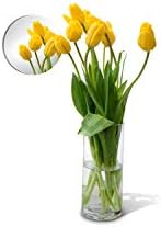 2 Inch, Pack of 50 Small Mirrors for Crafts, Round Mirror for Tables at Wedding, Mirror Tiles for Crafts and DIY Projects