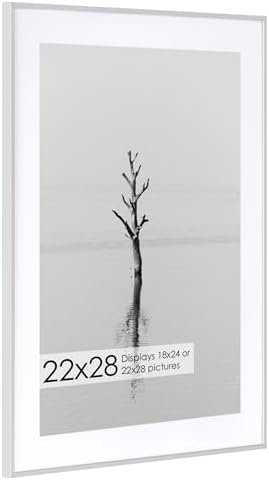 22x28 Metal Picture Frame with 18x24 Mat, Brushed Aluminum Finish, Tempered Glass Front, and Attached Hanging Hardware - Versatile Wall Display Frames for Vertical or Horizontal Orientation(Silver,