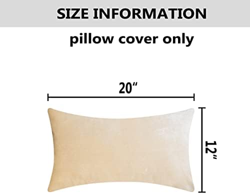 Home Brilliant Rectangle Pillow Cover Cream Throw Pillows for Couch Velvet Decorative Pillow Covers for Living Room Sofa Bed, Set of 2, 12 x 20 Inch (30x50cm), Beige