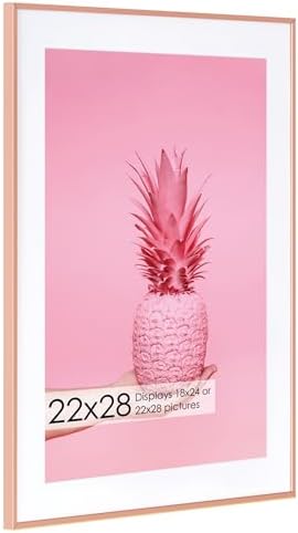 22x28 Metal Picture Frame with 18x24 Mat, Brushed Aluminum Finish, Tempered Glass Front, and Attached Hanging Hardware - Wall Display Frames for Vertical or Horizontal Orientation - Rose Gold