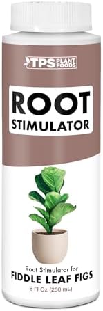 Root Stimulator for Fiddle Leaf Fig, Liquid Root Supplement + Kelp, 8 oz