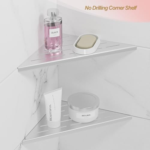 Neodrain 10 Inch Brushed Corner Wall Shelf for Tile Wall Insert, Set of 2