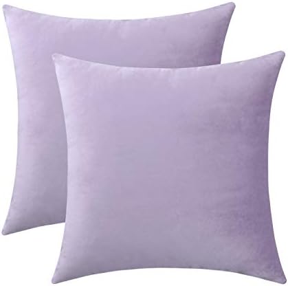 Jeneoo Set of 2 Comfy Soft Velvet Throw Pillow Cases for Sofa Couch, Decorative Solid Square Cushion Covers for Bedroom Car (14 x 14 Inches, Lavender)