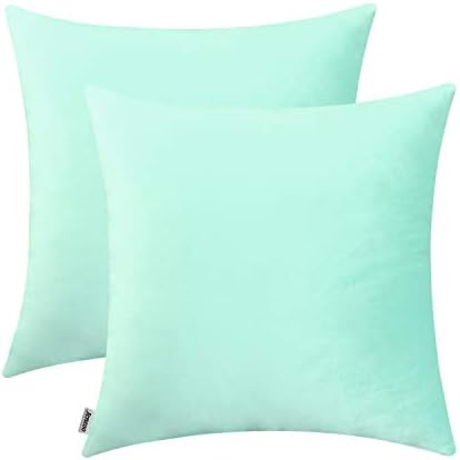 Jeneoo Comfy Soft Thick Velvet Throw Pillow Covers Decorative Solid Square Couch Cushion Cases for Bedroom Sofa Car Decor (Mint Green, 18 x 18 Inches, 2 Pieces)
