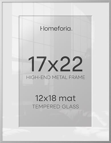 Homeforia 17x22 Silver Picture Frame, High-End Metal, 12x18 Mat, Glass