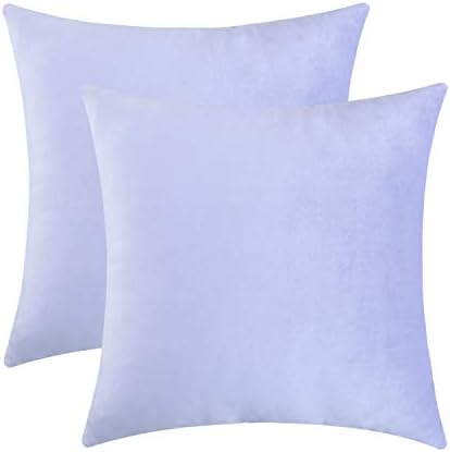 Jeneoo Set of 2 Comfy Soft Velvet Throw Pillow Covers Decorative Solid Square Couch Cushion Cases for Bedroom Sofa Decor (16 x 16 Inches,Lavender Blue)