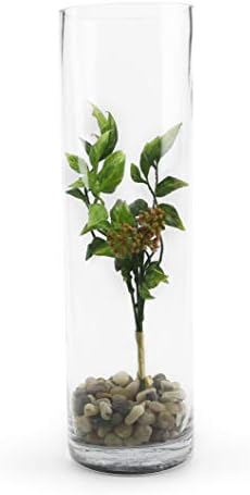 WGVI Quality Thick Weighted Tall Clear Cylinder Glass Vases, 4" W x 14" H, Flower Arrangement Floating Candle Holders Wedding Centerpieces Floral Container Home Decor, Bulk Wholesale, 12 Pcs