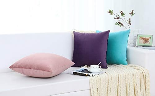 Jeneoo Comfy Soft Thick Velvet Throw Pillow Covers for Sofa Couch, Decorative Solid Square Cushion Cases for Bedroom Car (Eggplant Purple, 18 x 18 Inches, 2 Pieces)