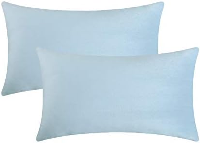Jeneoo Set of 2 Comfy Soft Velvet Lumbar Throw Pillow Covers for Sofa Couch, Decorative Solid Rectangle Cushion Cases for Bedroom Car (12 x 20 Inches, Baby Blue)