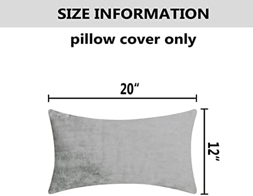 Home Brilliant Velvet Rectangular Throw Pillow Covers, Decorative Pillow Cases for Bed Nursery Sectional Seat, Set of 2, 12x20 inches, 30cm x 50cm, Silver Grey