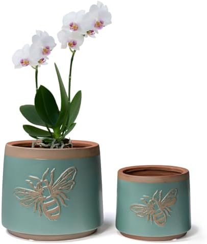 Terracotta Pots, 6+4 Inch Plant Pots, 2 Pcs with Drainage Holes