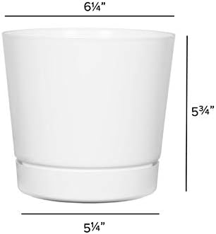 Novelty Majestic Full Depth Round Cylinder Pot, Glossy White, 6-Inch (10062)